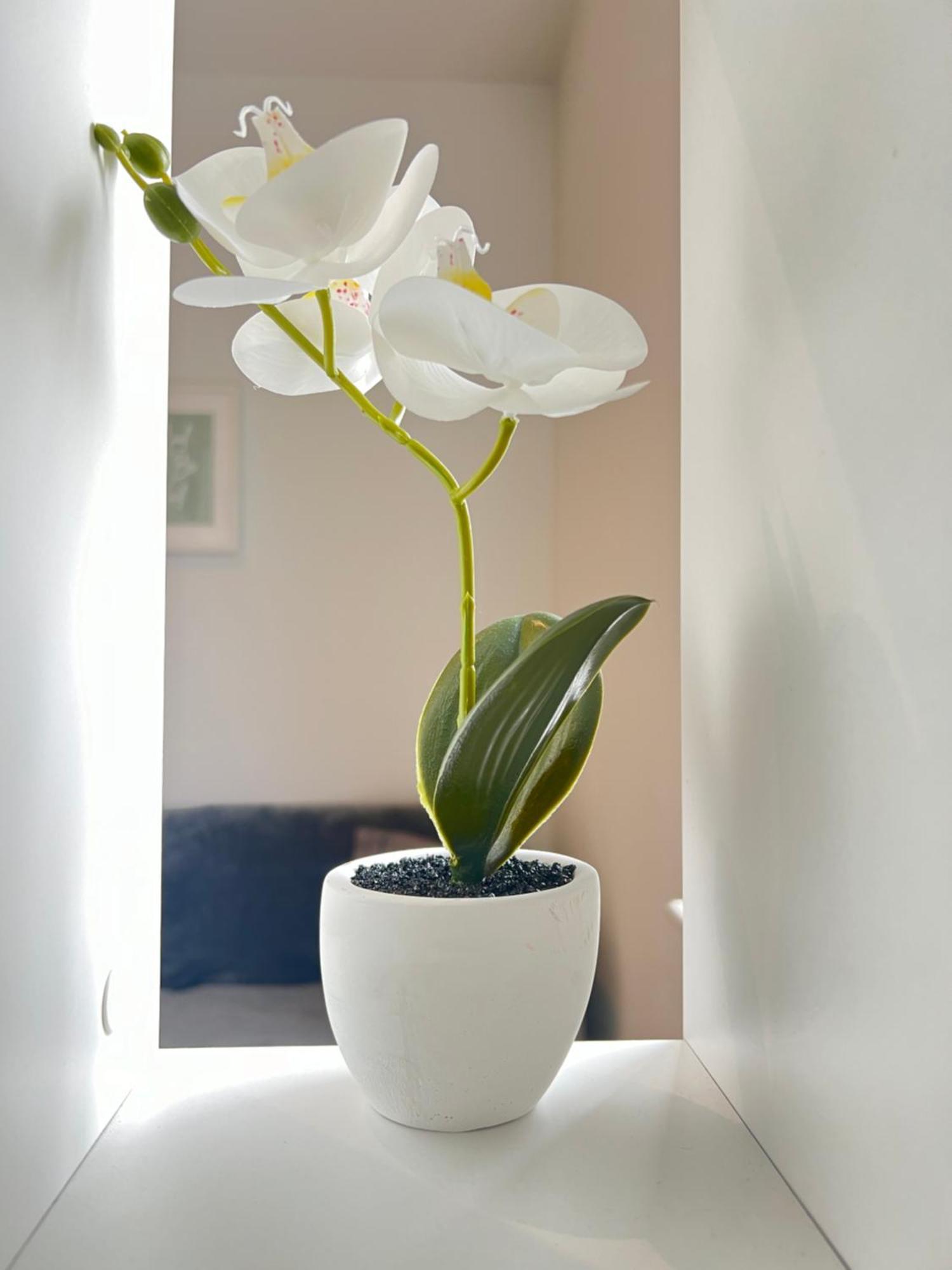 Luxx Apartment & Suites, London Heathrow Airport, Terminal 4, Piccadilly Underground Train Station Nearby! ฮิลลิงดัน ภายนอก รูปภาพ